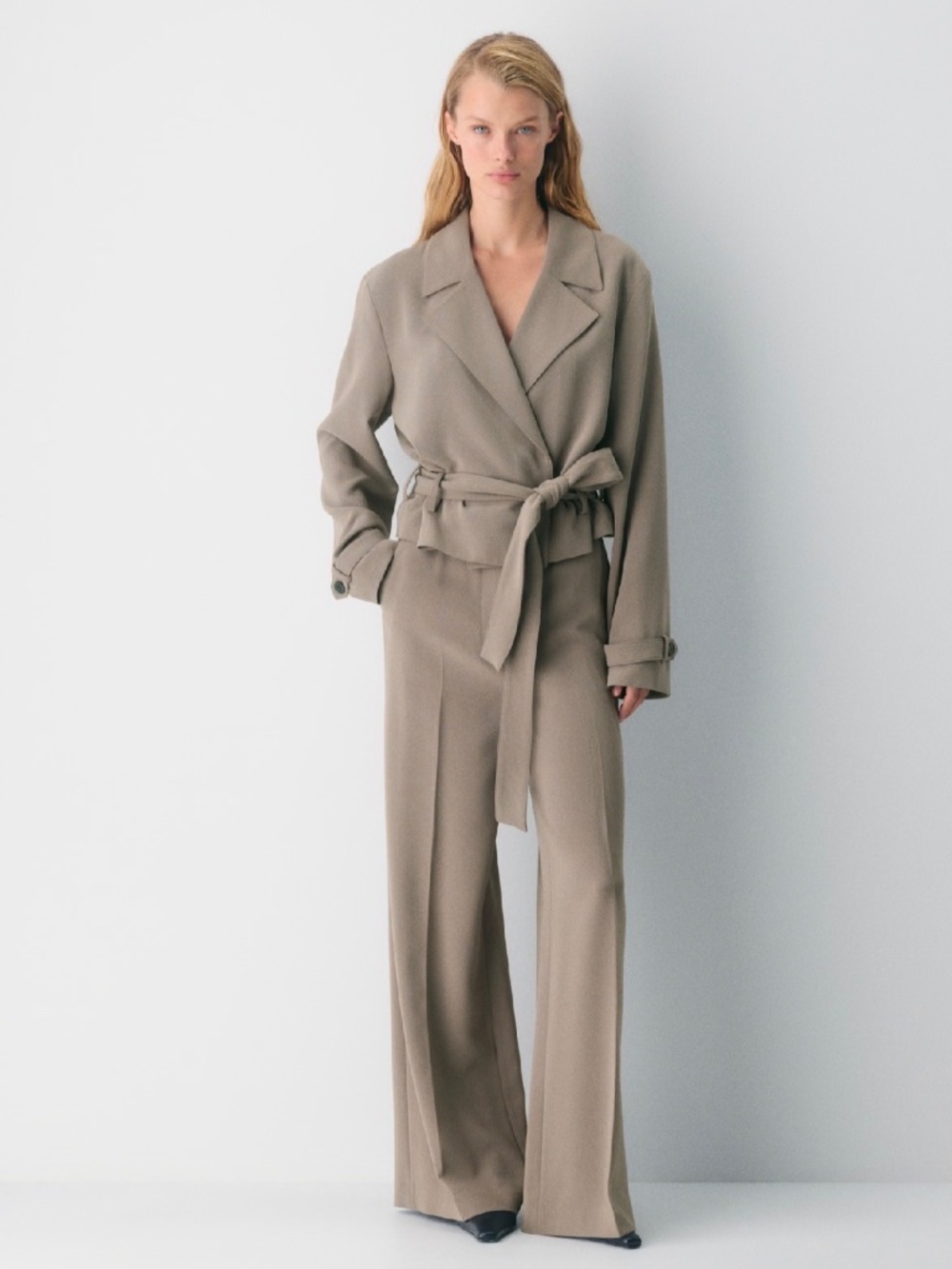 ARITZIA x BABATON - Postage Croppd Trench Coat in Sway Crepe, Small